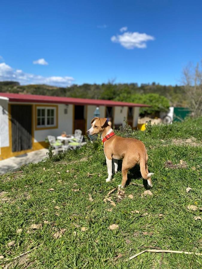 Casinha De Ferias No Campo - Quintinha Dos Cavalos - Arruda Dos Vinhos Sabugos Eksteriør billede