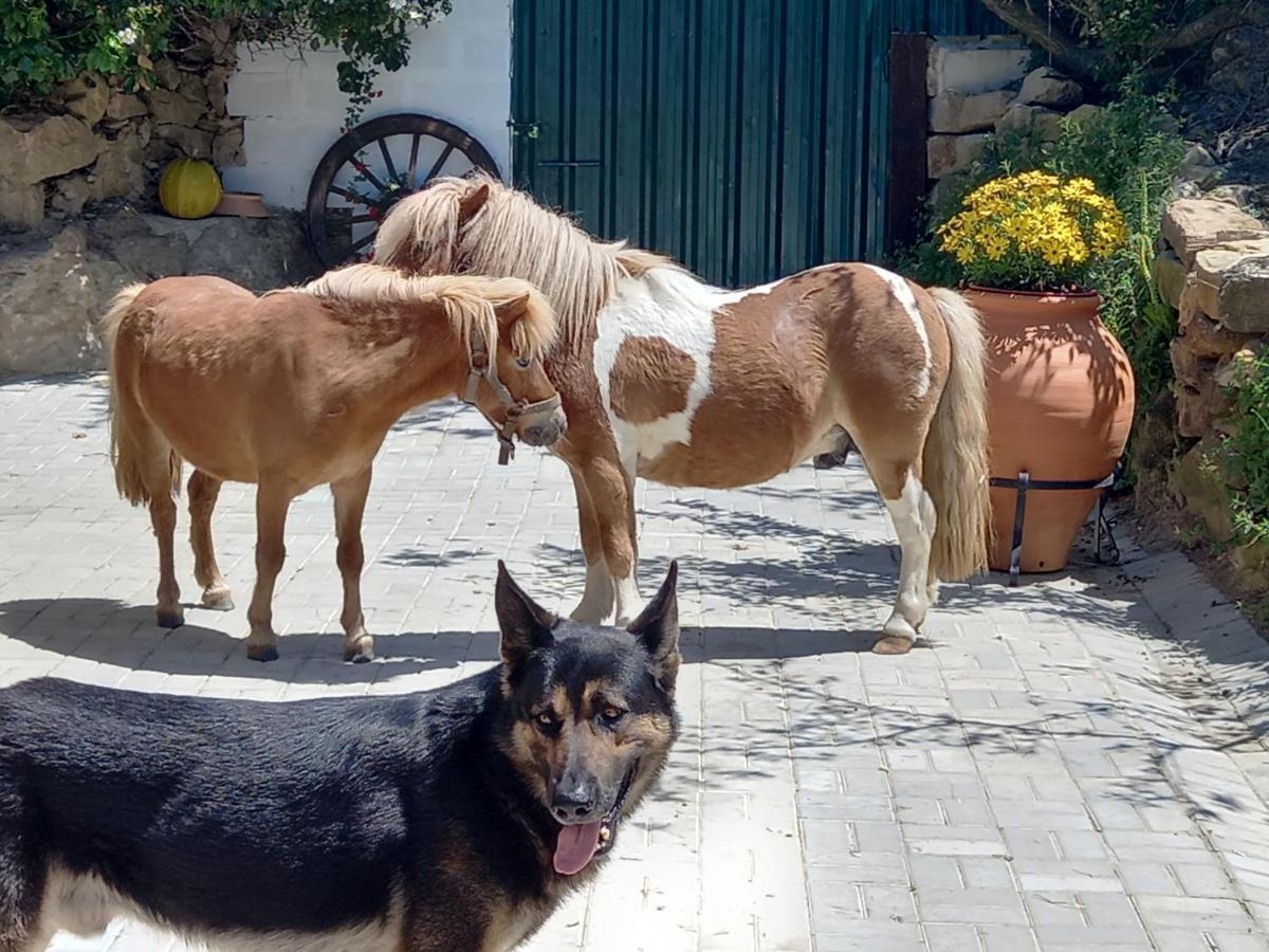 Casinha De Ferias No Campo - Quintinha Dos Cavalos - Arruda Dos Vinhos Sabugos Eksteriør billede