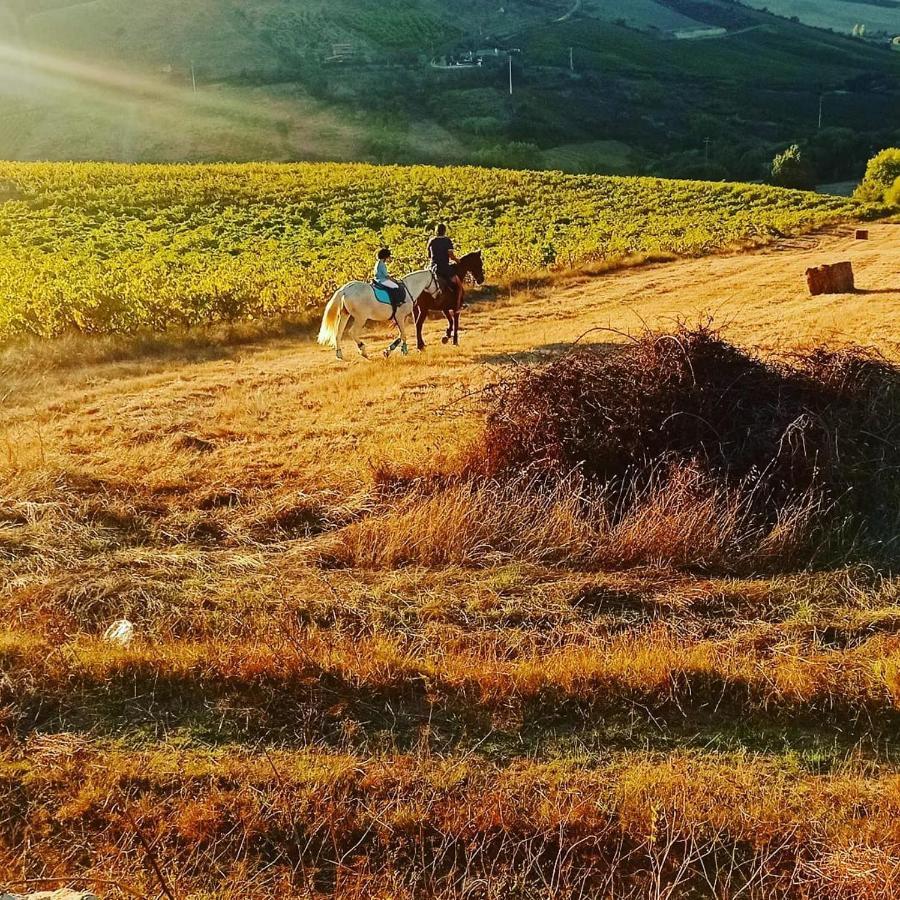 Casinha De Ferias No Campo - Quintinha Dos Cavalos - Arruda Dos Vinhos Sabugos Eksteriør billede