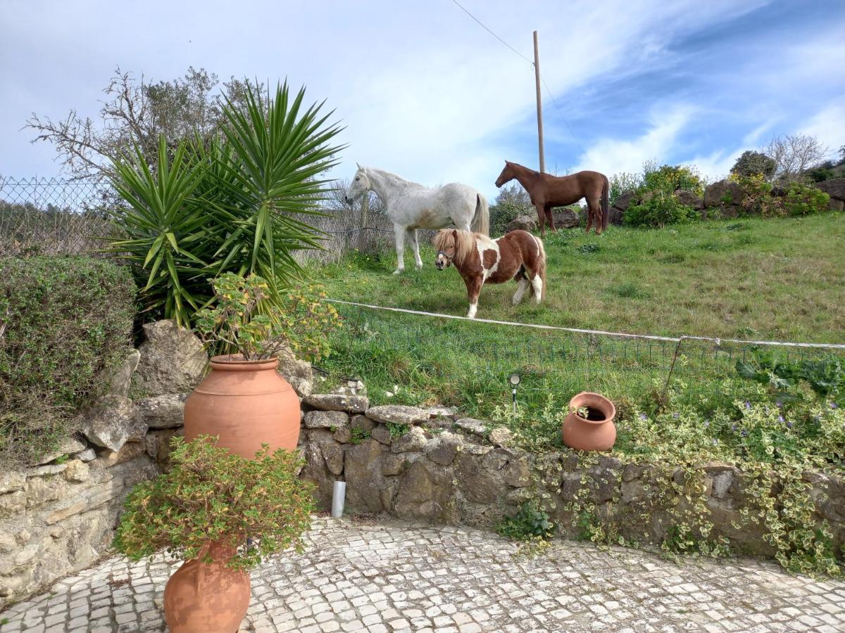 Casinha De Ferias No Campo - Quintinha Dos Cavalos - Arruda Dos Vinhos Sabugos Eksteriør billede