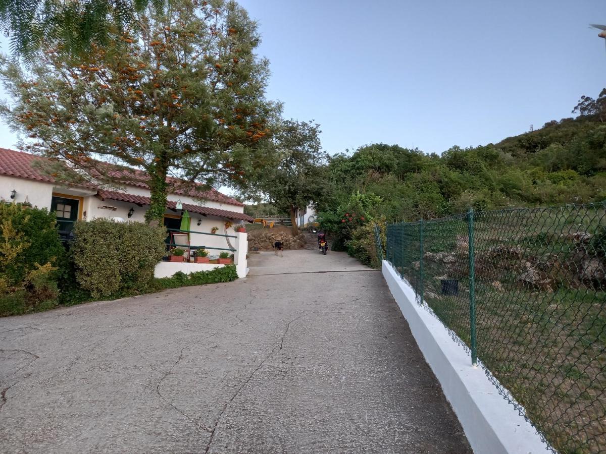 Casinha De Ferias No Campo - Quintinha Dos Cavalos - Arruda Dos Vinhos Sabugos Eksteriør billede